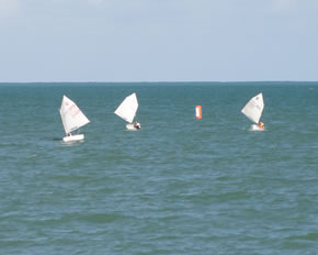 Regata de Ex-optimistas - Foto 05